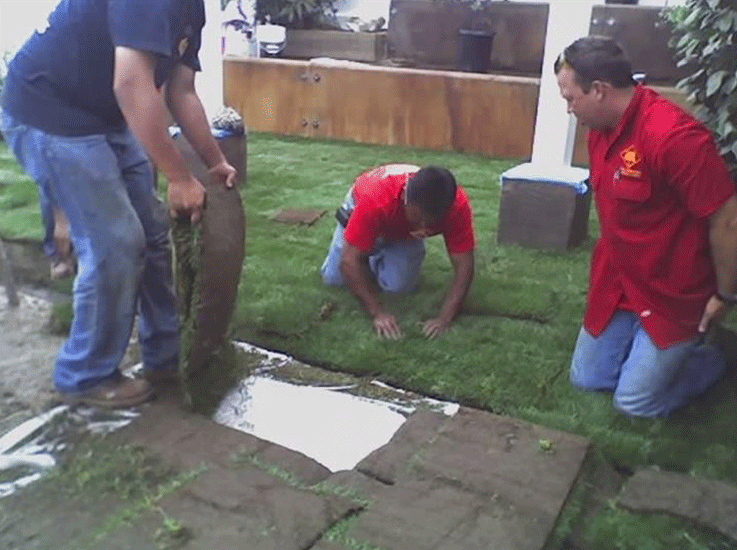 Lambcon Construction