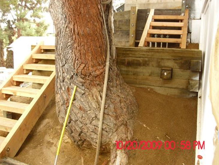 Lambcon Construction